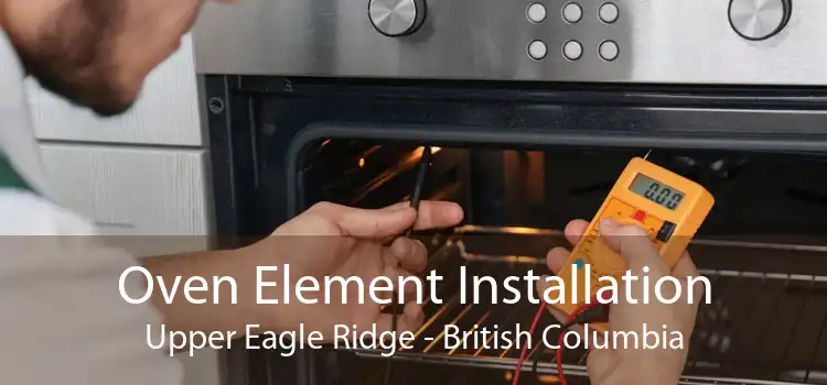 Oven Element Installation Upper Eagle Ridge - British Columbia