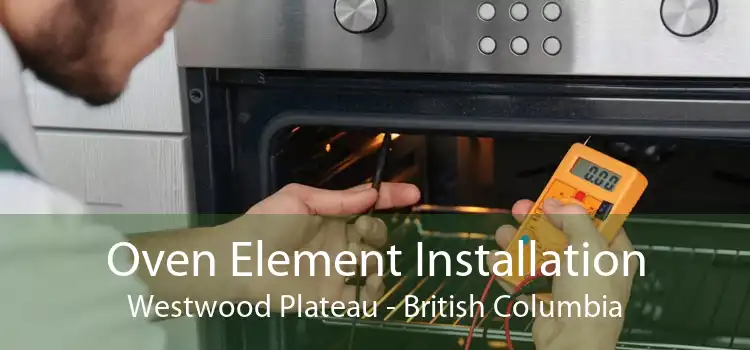 Oven Element Installation Westwood Plateau - British Columbia