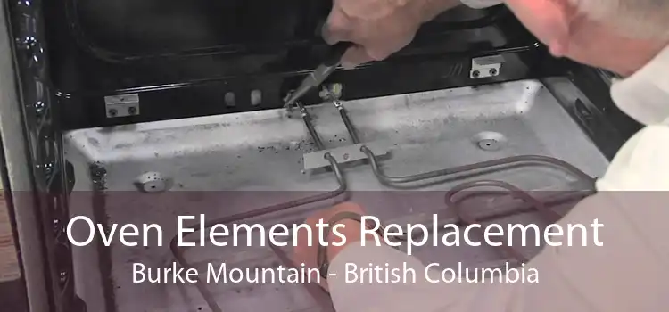 Oven Elements Replacement Burke Mountain - British Columbia