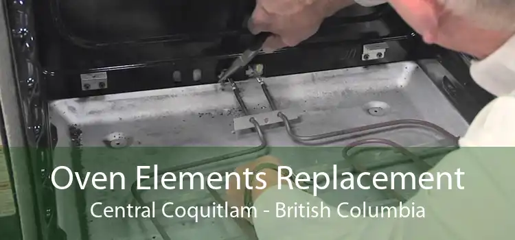 Oven Elements Replacement Central Coquitlam - British Columbia