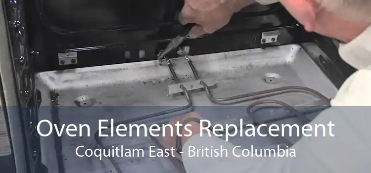 Oven Elements Replacement Coquitlam East - British Columbia
