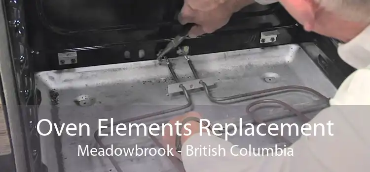 Oven Elements Replacement Meadowbrook - British Columbia
