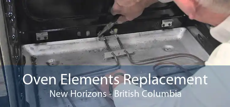 Oven Elements Replacement New Horizons - British Columbia