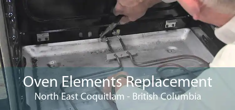 Oven Elements Replacement North East Coquitlam - British Columbia