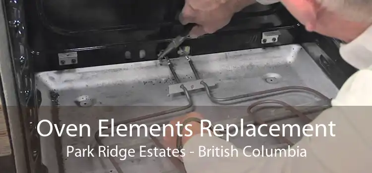 Oven Elements Replacement Park Ridge Estates - British Columbia