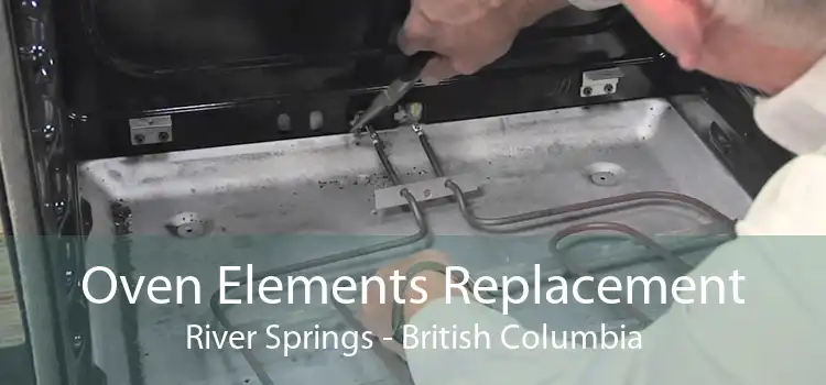 Oven Elements Replacement River Springs - British Columbia