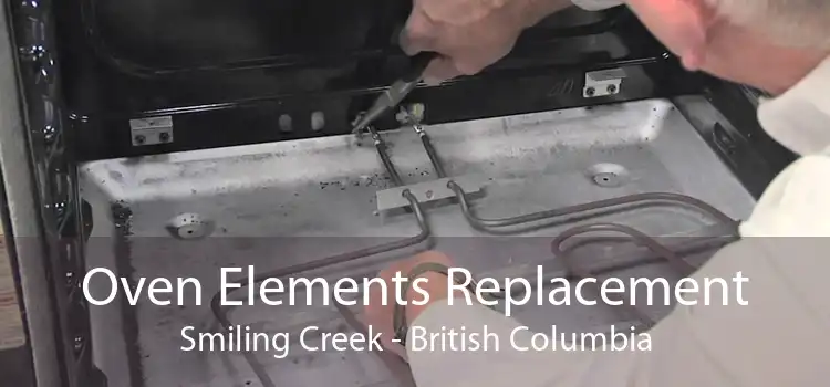 Oven Elements Replacement Smiling Creek - British Columbia