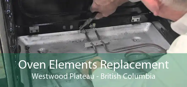 Oven Elements Replacement Westwood Plateau - British Columbia