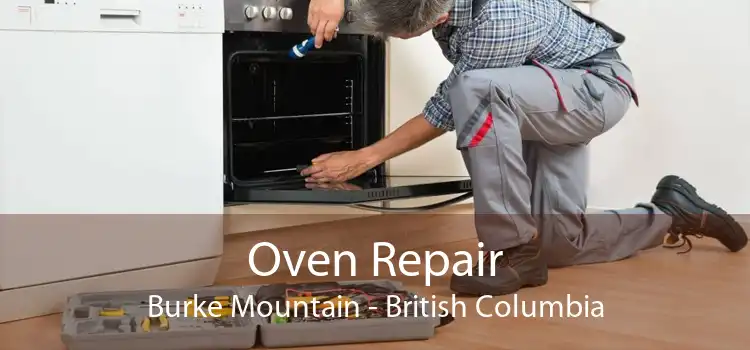 Oven Repair Burke Mountain - British Columbia