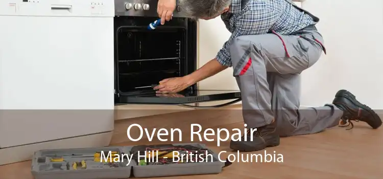Oven Repair Mary Hill - British Columbia