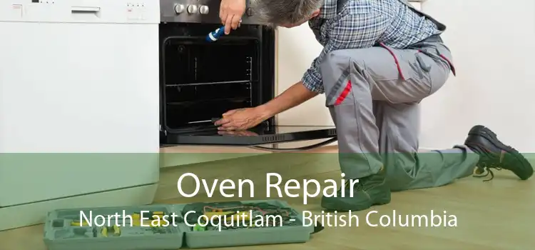 Oven Repair North East Coquitlam - British Columbia