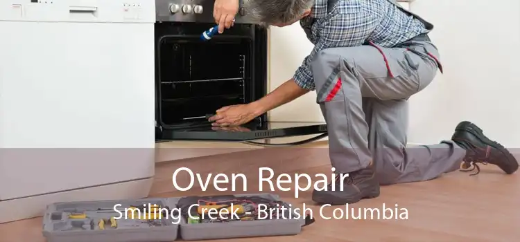 Oven Repair Smiling Creek - British Columbia