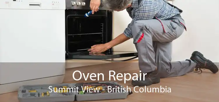 Oven Repair Summit View - British Columbia