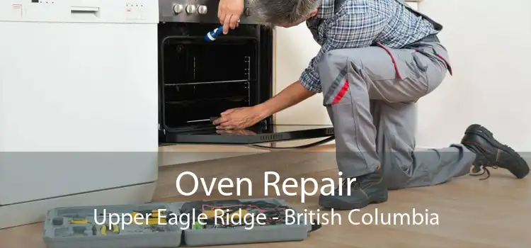 Oven Repair Upper Eagle Ridge - British Columbia