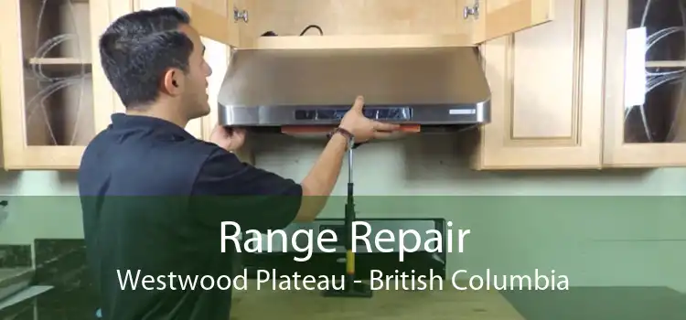 Range Repair Westwood Plateau - British Columbia