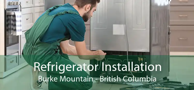 Refrigerator Installation Burke Mountain - British Columbia