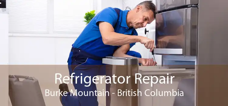 Refrigerator Repair Burke Mountain - British Columbia