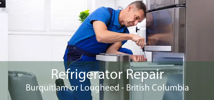 Refrigerator Repair Burquitlam or Lougheed - British Columbia