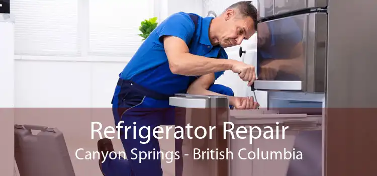 Refrigerator Repair Canyon Springs - British Columbia