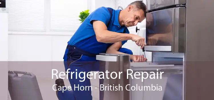 Refrigerator Repair Cape Horn - British Columbia
