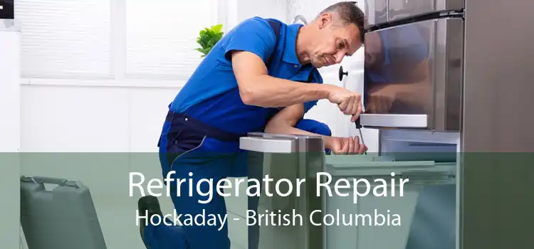 Refrigerator Repair Hockaday - British Columbia