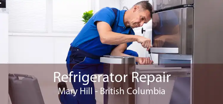 Refrigerator Repair Mary Hill - British Columbia