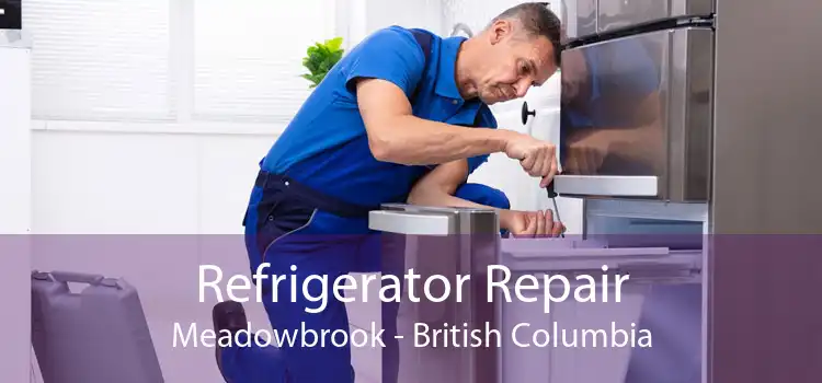 Refrigerator Repair Meadowbrook - British Columbia