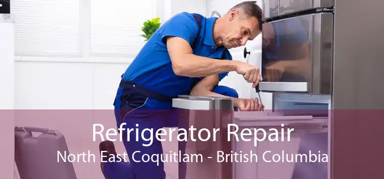 Refrigerator Repair North East Coquitlam - British Columbia