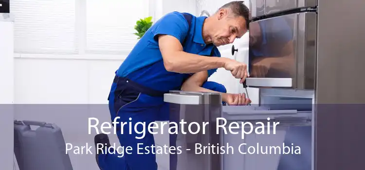 Refrigerator Repair Park Ridge Estates - British Columbia