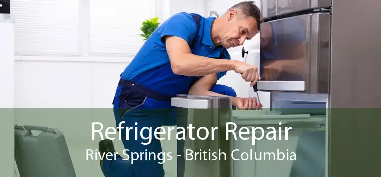 Refrigerator Repair River Springs - British Columbia