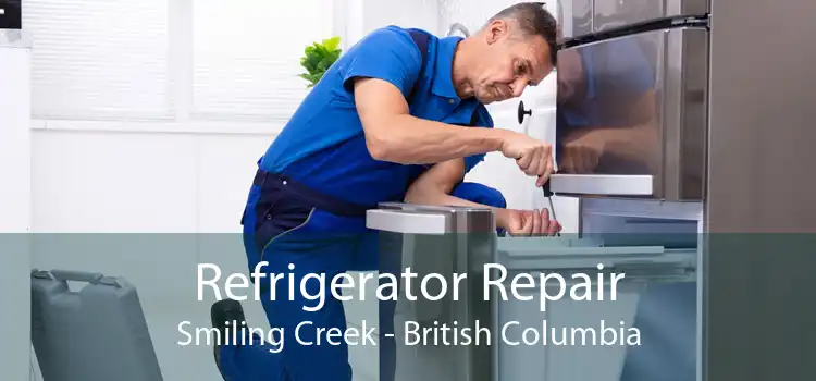 Refrigerator Repair Smiling Creek - British Columbia