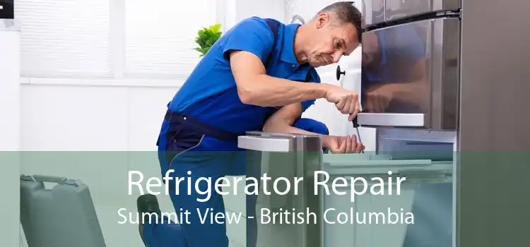 Refrigerator Repair Summit View - British Columbia