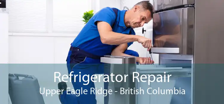 Refrigerator Repair Upper Eagle Ridge - British Columbia