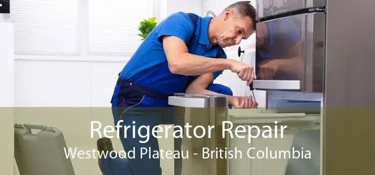 Refrigerator Repair Westwood Plateau - British Columbia