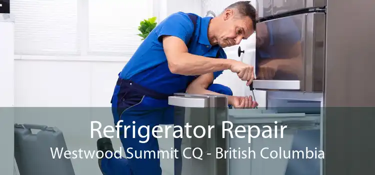 Refrigerator Repair Westwood Summit CQ - British Columbia