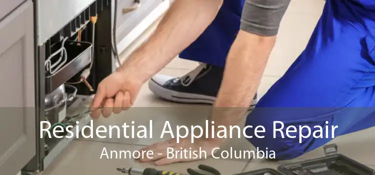 Residential Appliance Repair Anmore - British Columbia