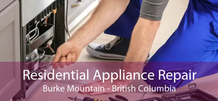 Residential Appliance Repair Burke Mountain - British Columbia
