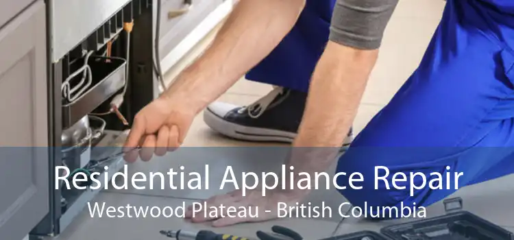 Residential Appliance Repair Westwood Plateau - British Columbia