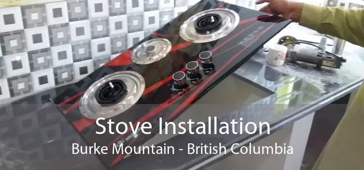 Stove Installation Burke Mountain - British Columbia