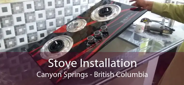 Stove Installation Canyon Springs - British Columbia