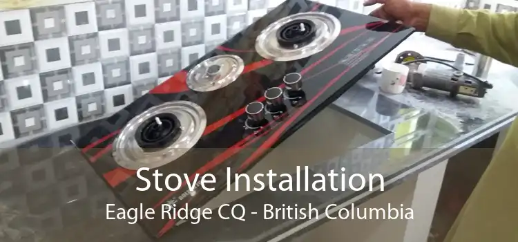 Stove Installation Eagle Ridge CQ - British Columbia