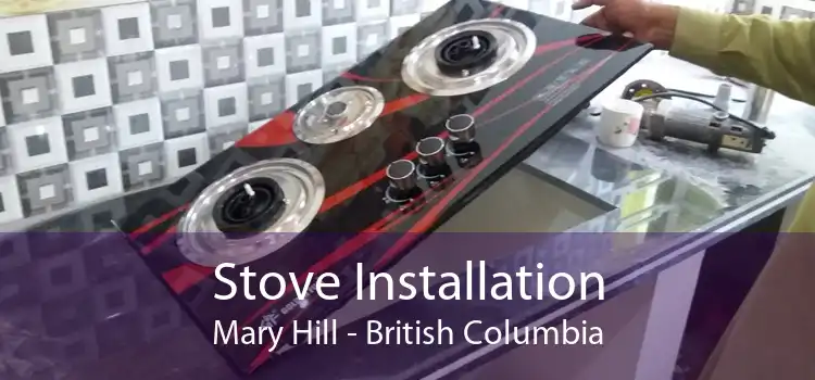 Stove Installation Mary Hill - British Columbia