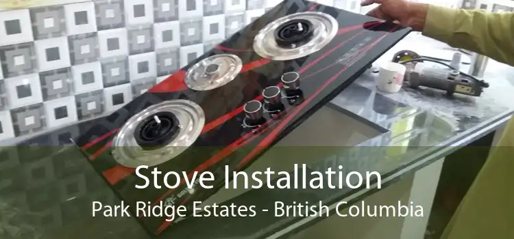 Stove Installation Park Ridge Estates - British Columbia