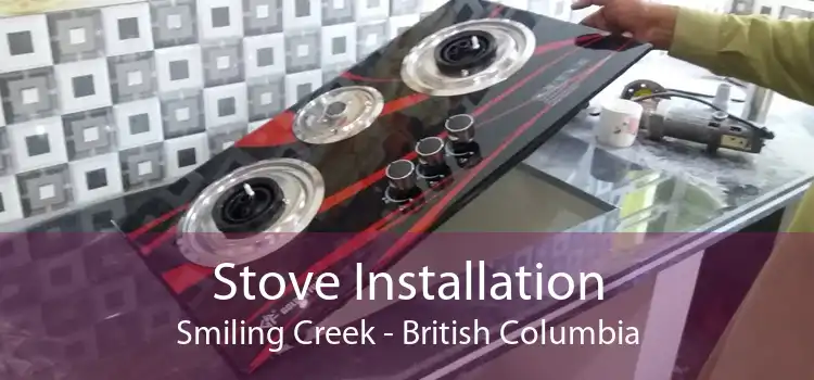 Stove Installation Smiling Creek - British Columbia