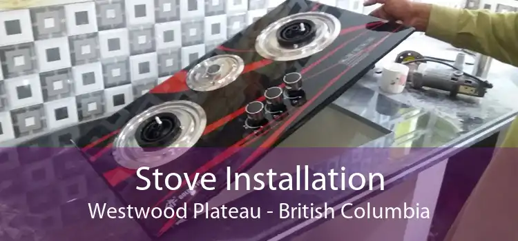 Stove Installation Westwood Plateau - British Columbia