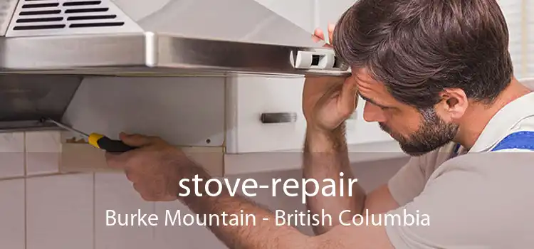 stove-repair Burke Mountain - British Columbia