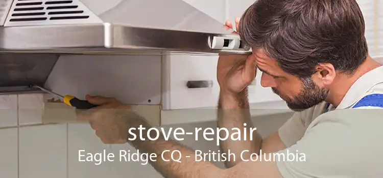 stove-repair Eagle Ridge CQ - British Columbia