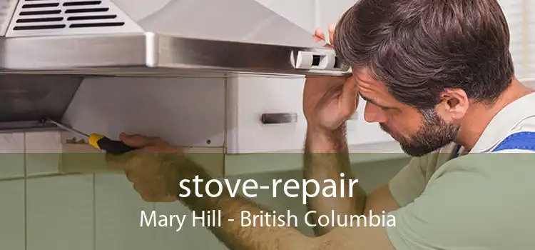 stove-repair Mary Hill - British Columbia