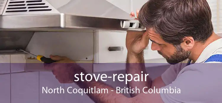 stove-repair North Coquitlam - British Columbia
