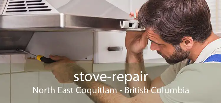 stove-repair North East Coquitlam - British Columbia